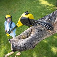 Best Stump Grinding and Removal  in Marsing, ID